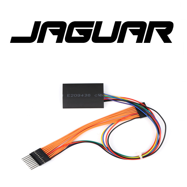 jaguar-kilometer-stopper